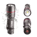 P3170_1.png