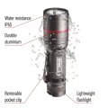 P3170_8.png