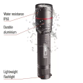 P3180_6.png