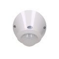 ORCR256_2.png
