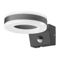 AD-OP-6205GLPMR4.png