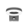 AD-OP-6205GLPMR4_4.png