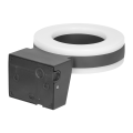 AD-OP-6205GLPMR4_5.png