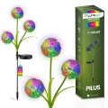 PILUS-1.jpg