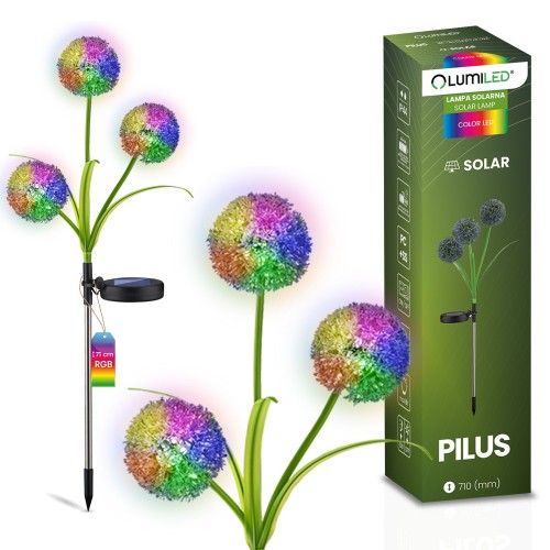 PILUS-1.jpg