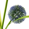 PILUS-3.jpg