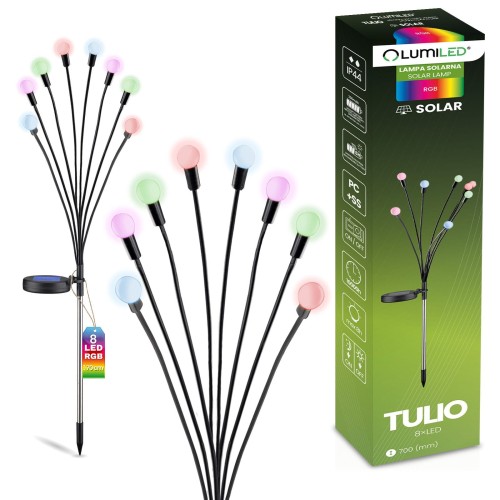 tulio-1.jpg